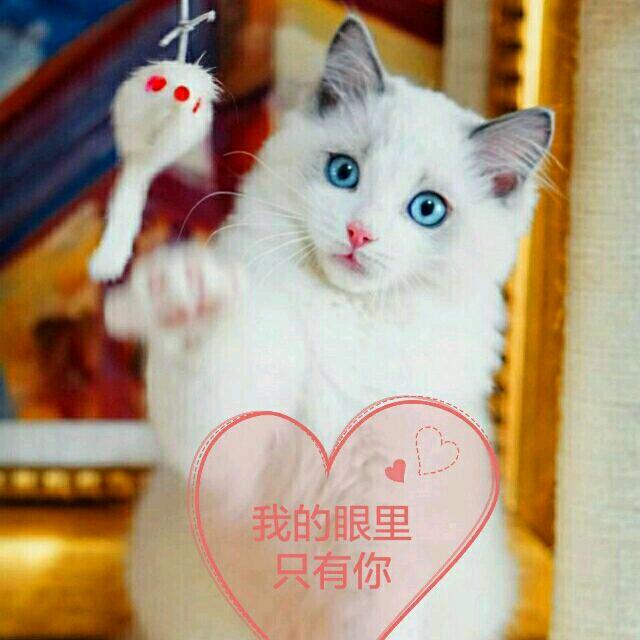 铮能量