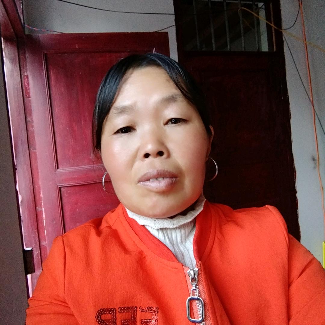 金金阳