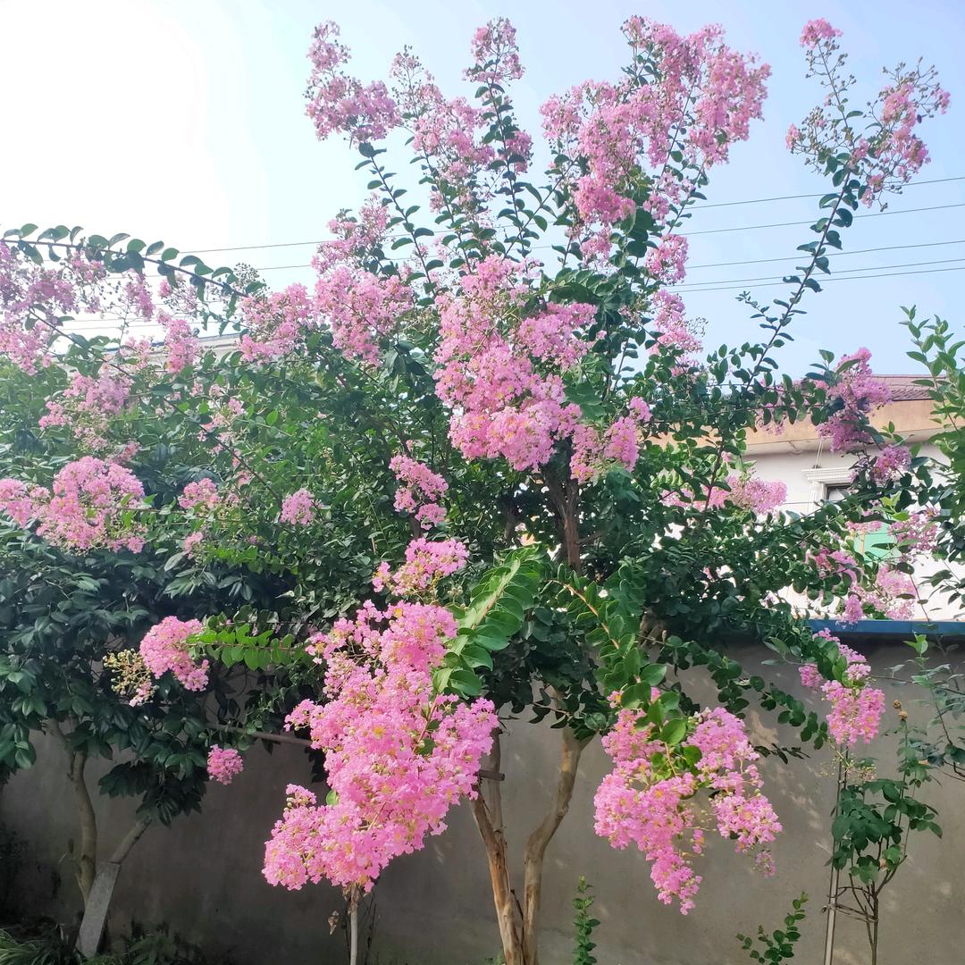 不忘初心