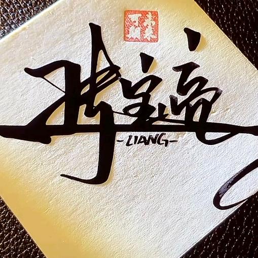 人生日记