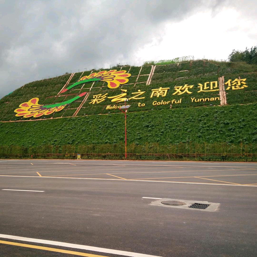 上海大众，73年牛
