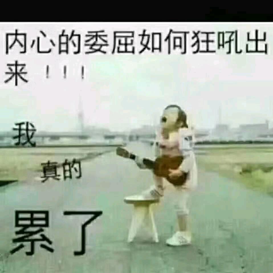 乔(⌒o⌒)