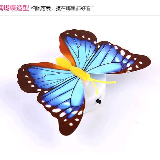 蝴蝶