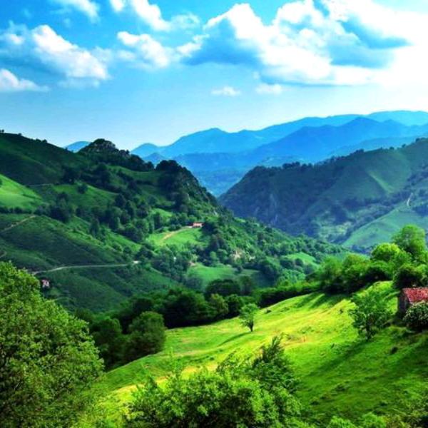 过好每一天。。