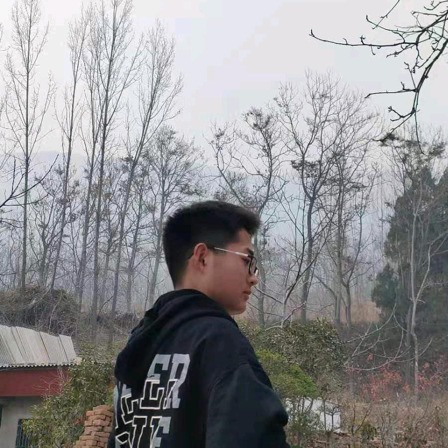 少年丸子汤儿