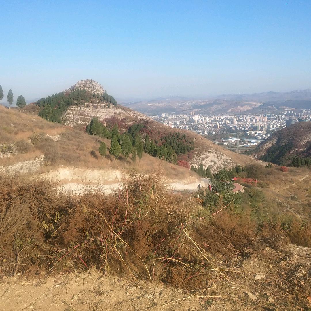 我的生活，我做主