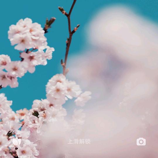 开心块乐