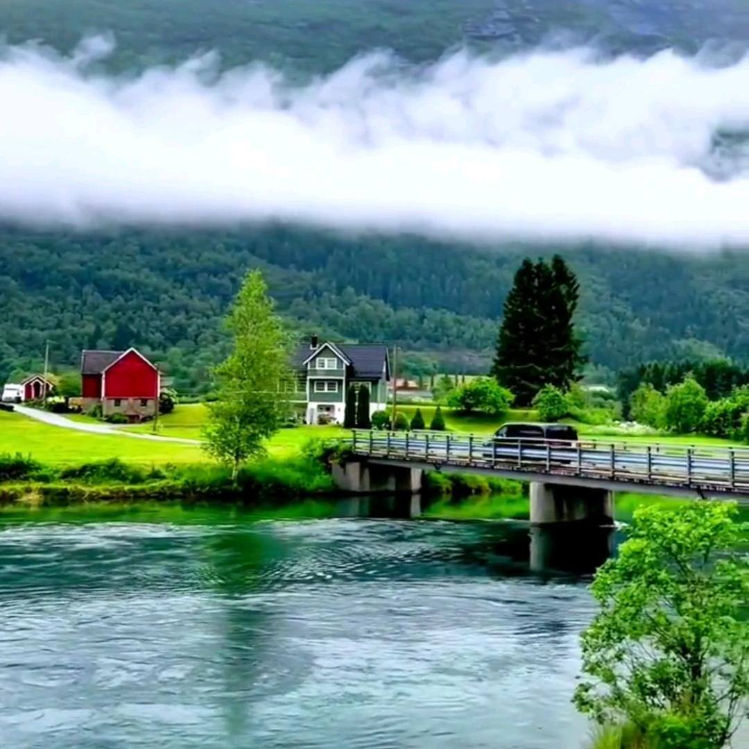 青青风景