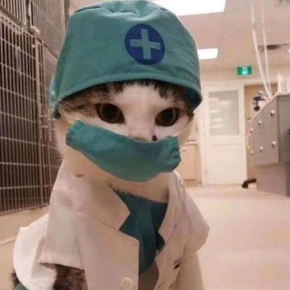 深居俯夹城，春去夏犹