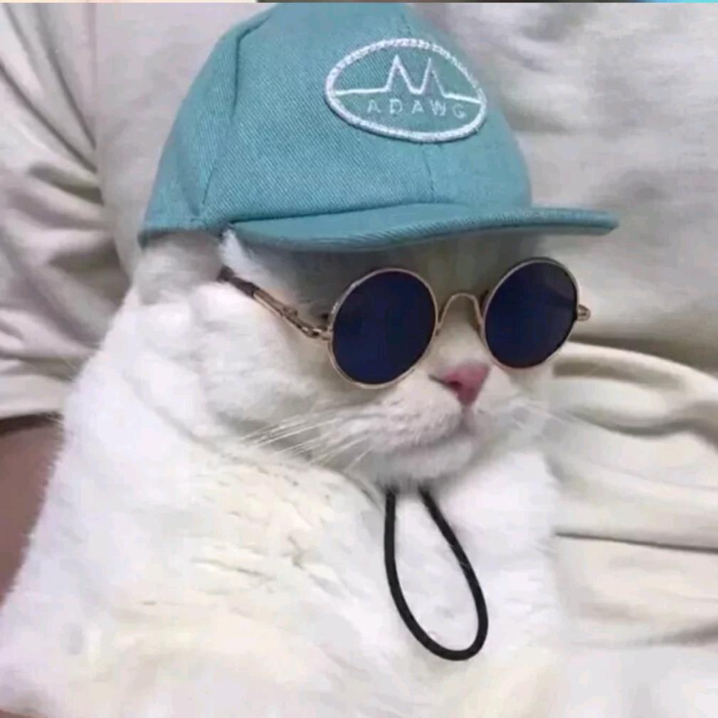 🍚ㅤㅤㅤㅤㅤㅤㅤ