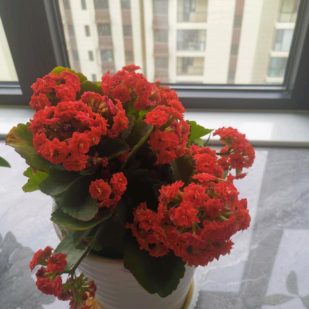 简单快乐