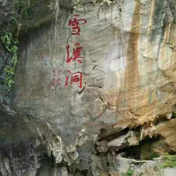 邪恶的小猫