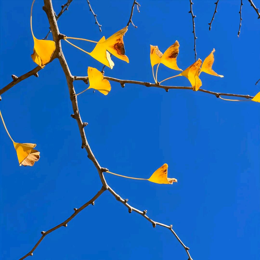 义乌星海厨房用品供应链