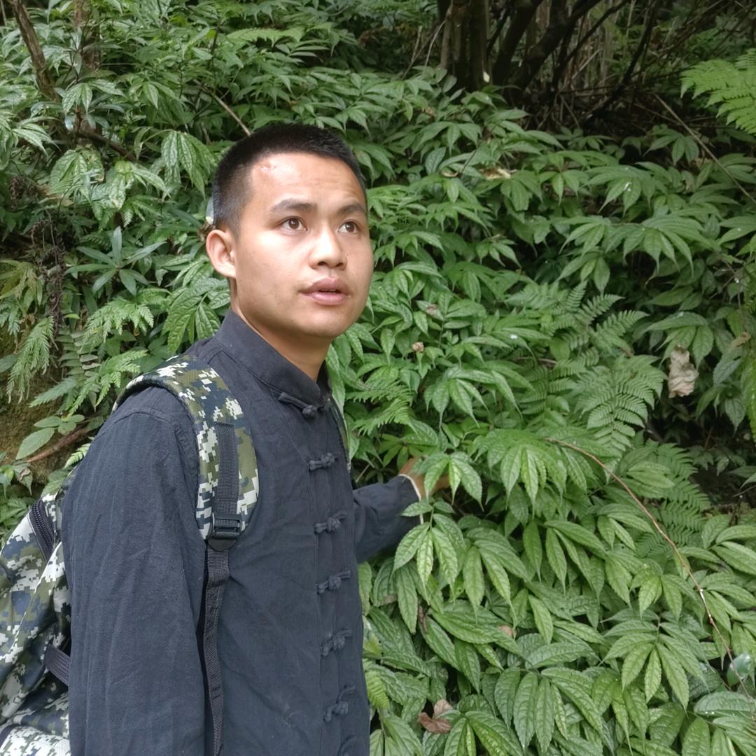 海口龙华百草之源信息咨询工作室