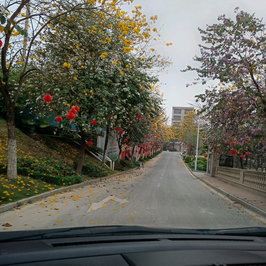 团结一心
