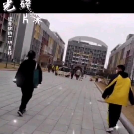 向阳而生