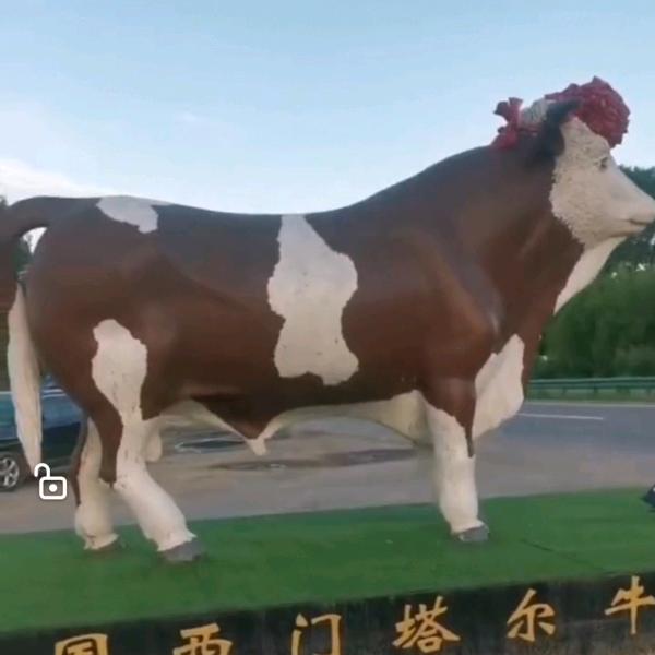 内蒙军哥牛马中介