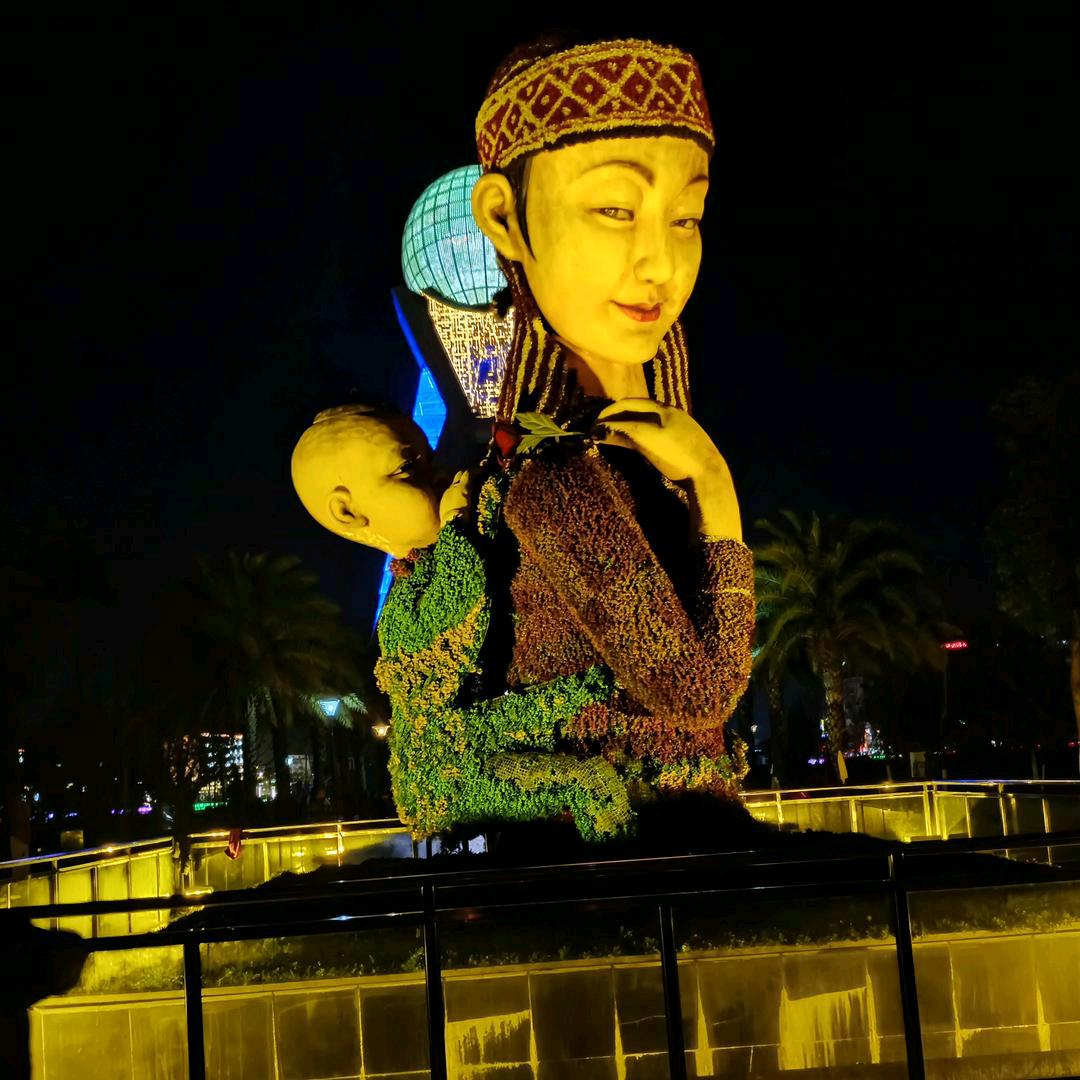 我是一颗小小草