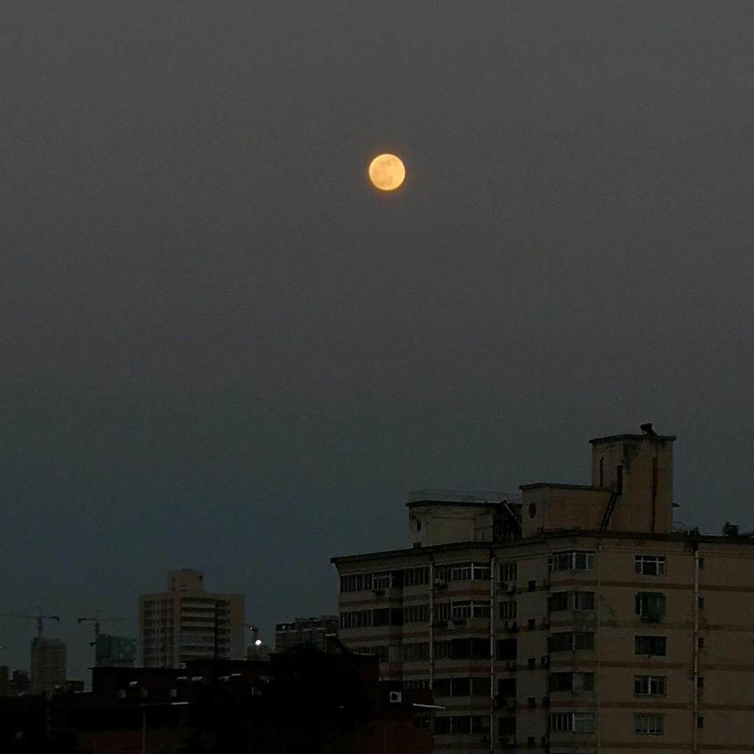 大华家