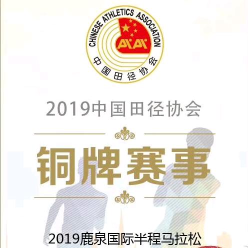 帅猪