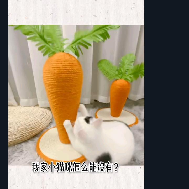 太湖漂客
