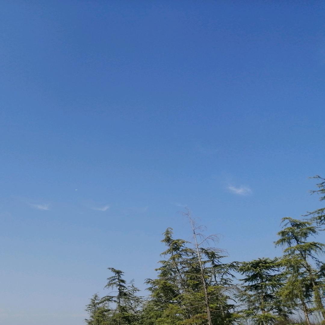 ~小李