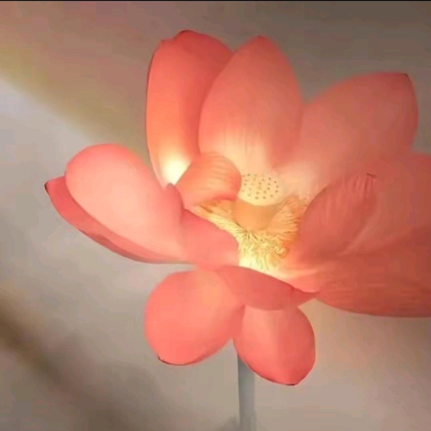 李寨镇谭二姐烧饼