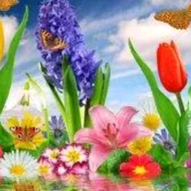 越远越好🌷🌹🌺