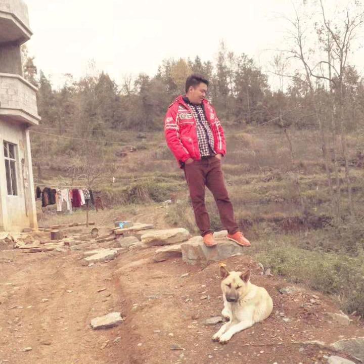 謝先生手机专业镀膜