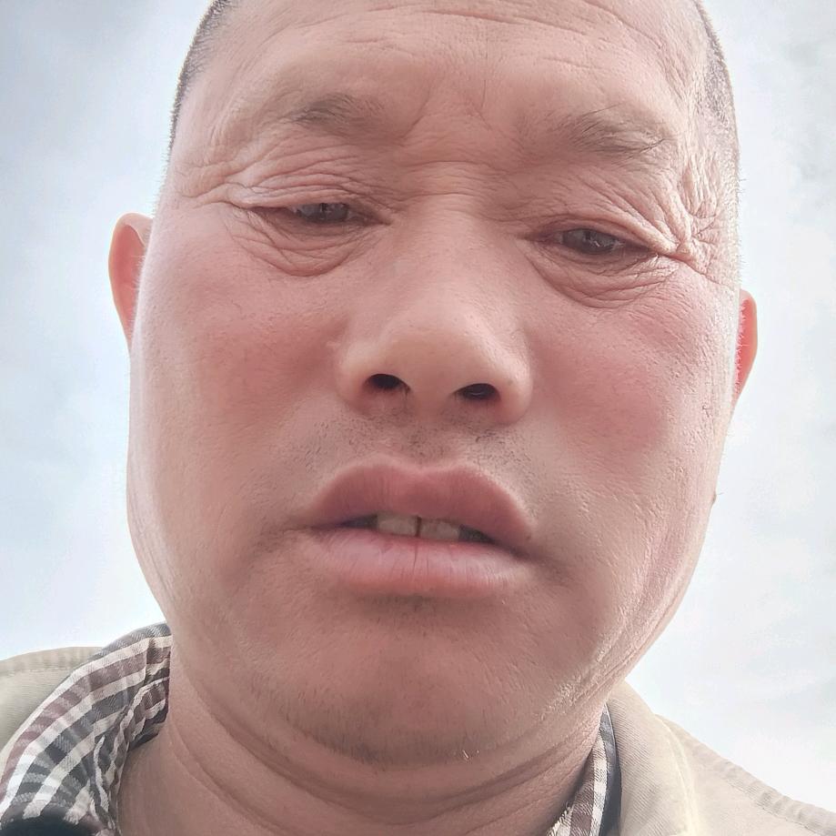左友