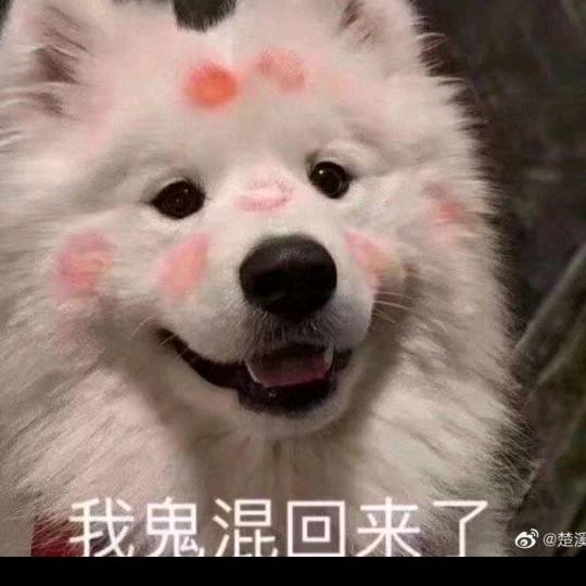 我鬼混回来了！