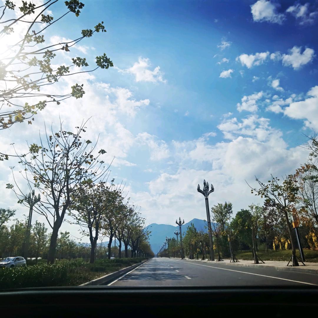 锦宏园（柴火鸡 奇石）