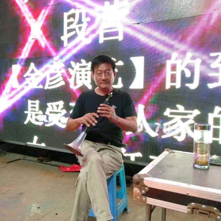 段金彦