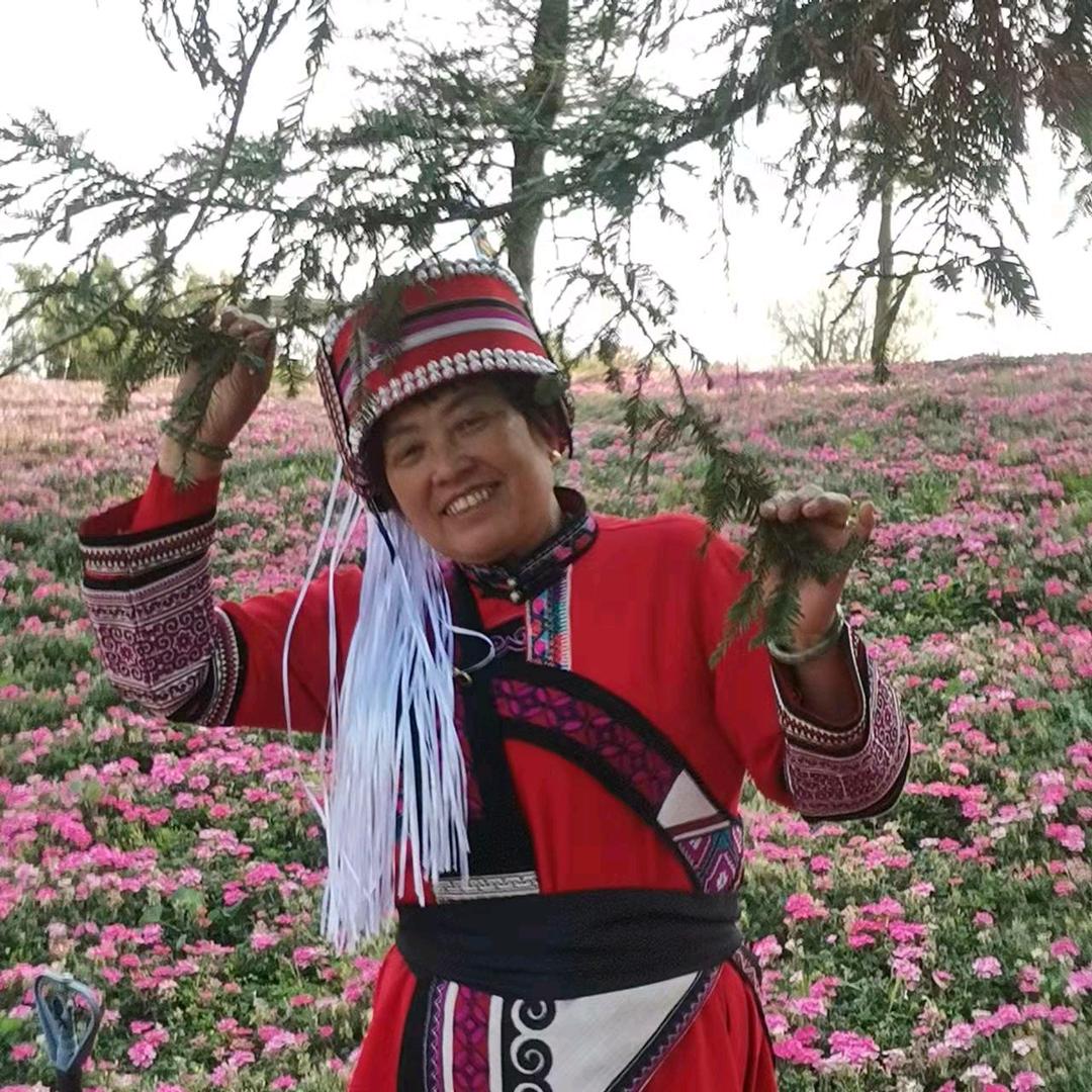凤来三姐