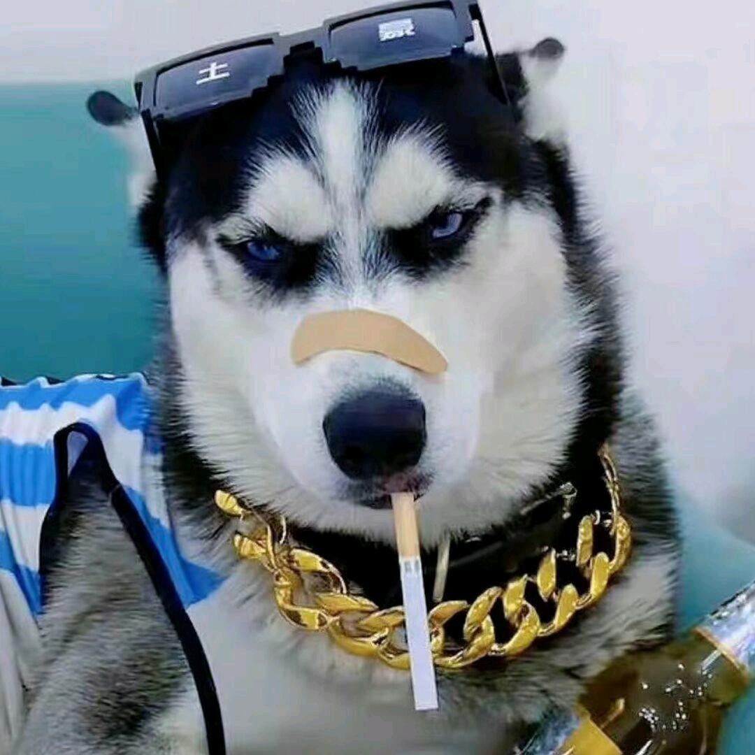 我在荣县,求介绍工作
