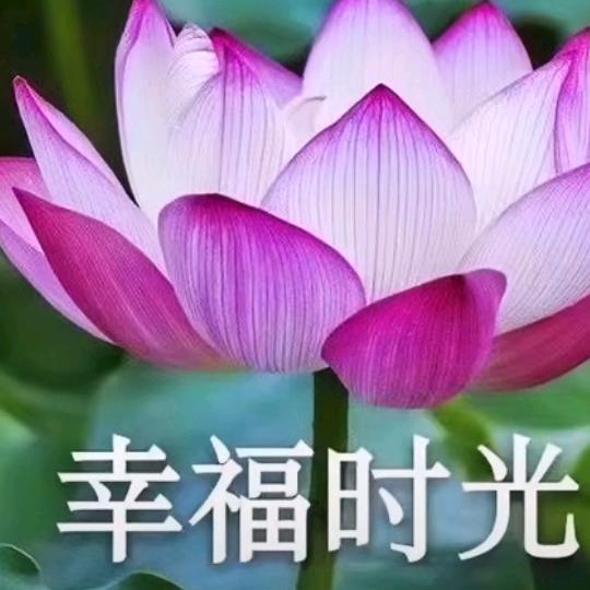 明天会更好 程