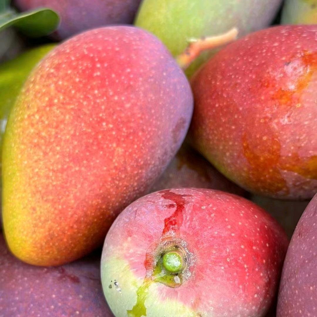 三亚水果批发小王