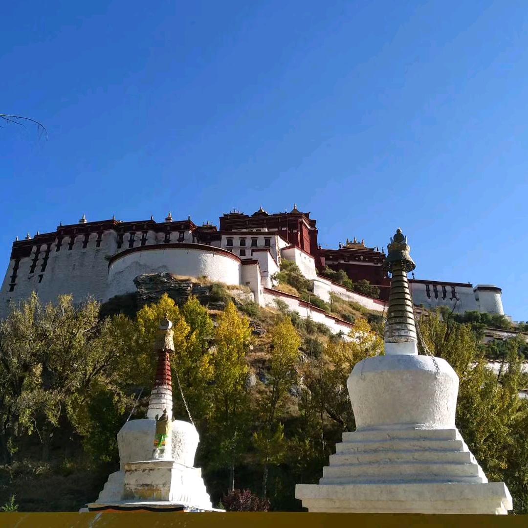 小马