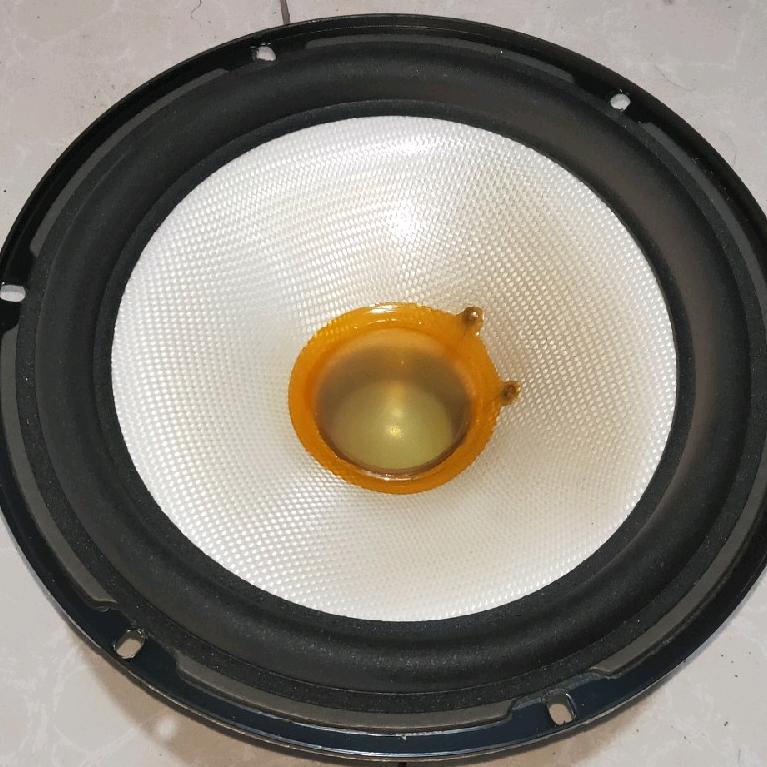 小洋儿