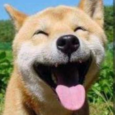 家鑫建筑工程经营部