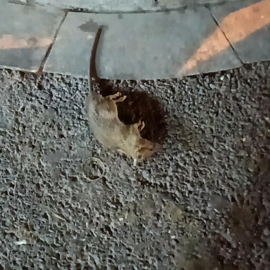 无聊的一个80后