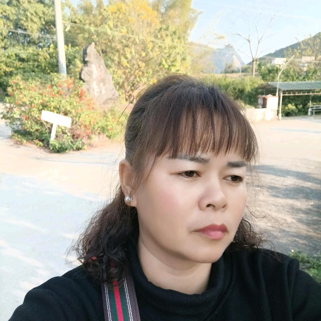 无声的雨