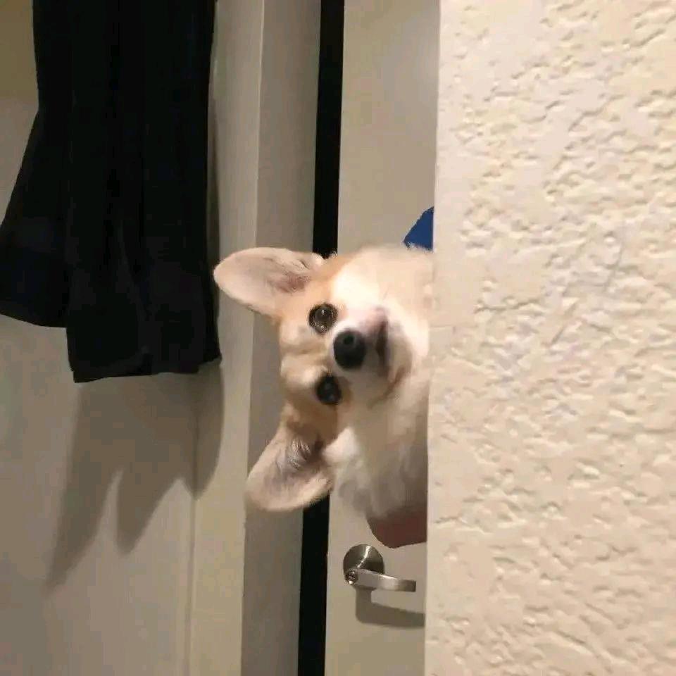 今天的风很温柔