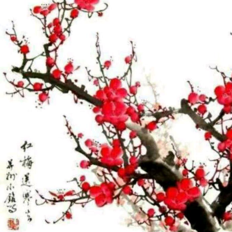 红梅