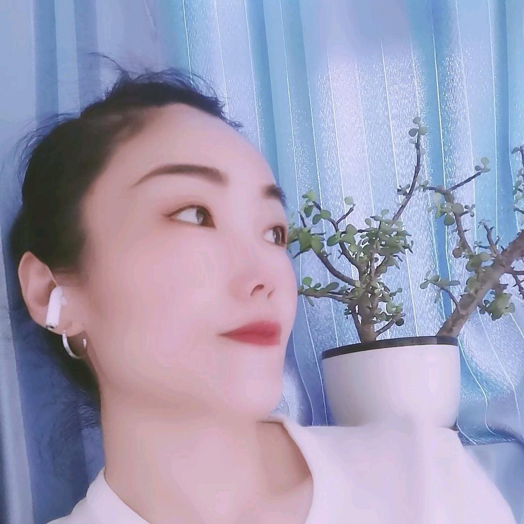 续彤沐晨光