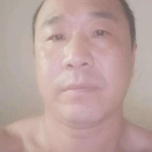 做人要真成