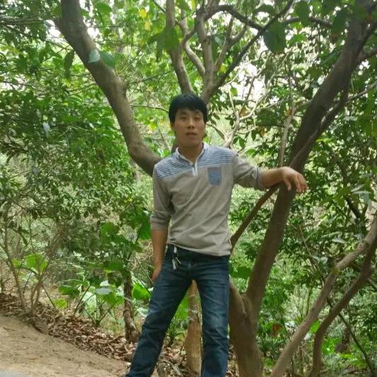 花🌺花🌺蝴蝶🌺🌺艺术团