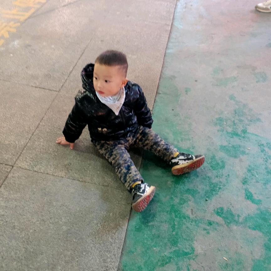 枣阳舂陵藓果