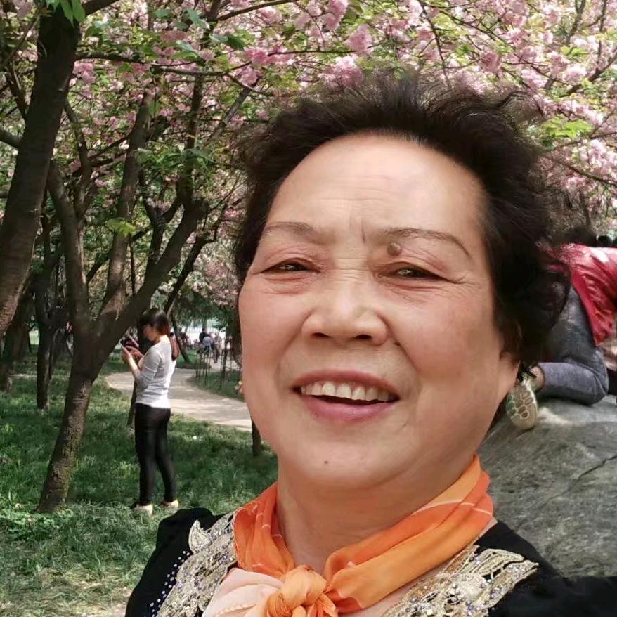 我的图片