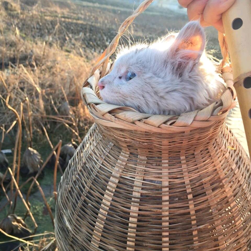 董小满